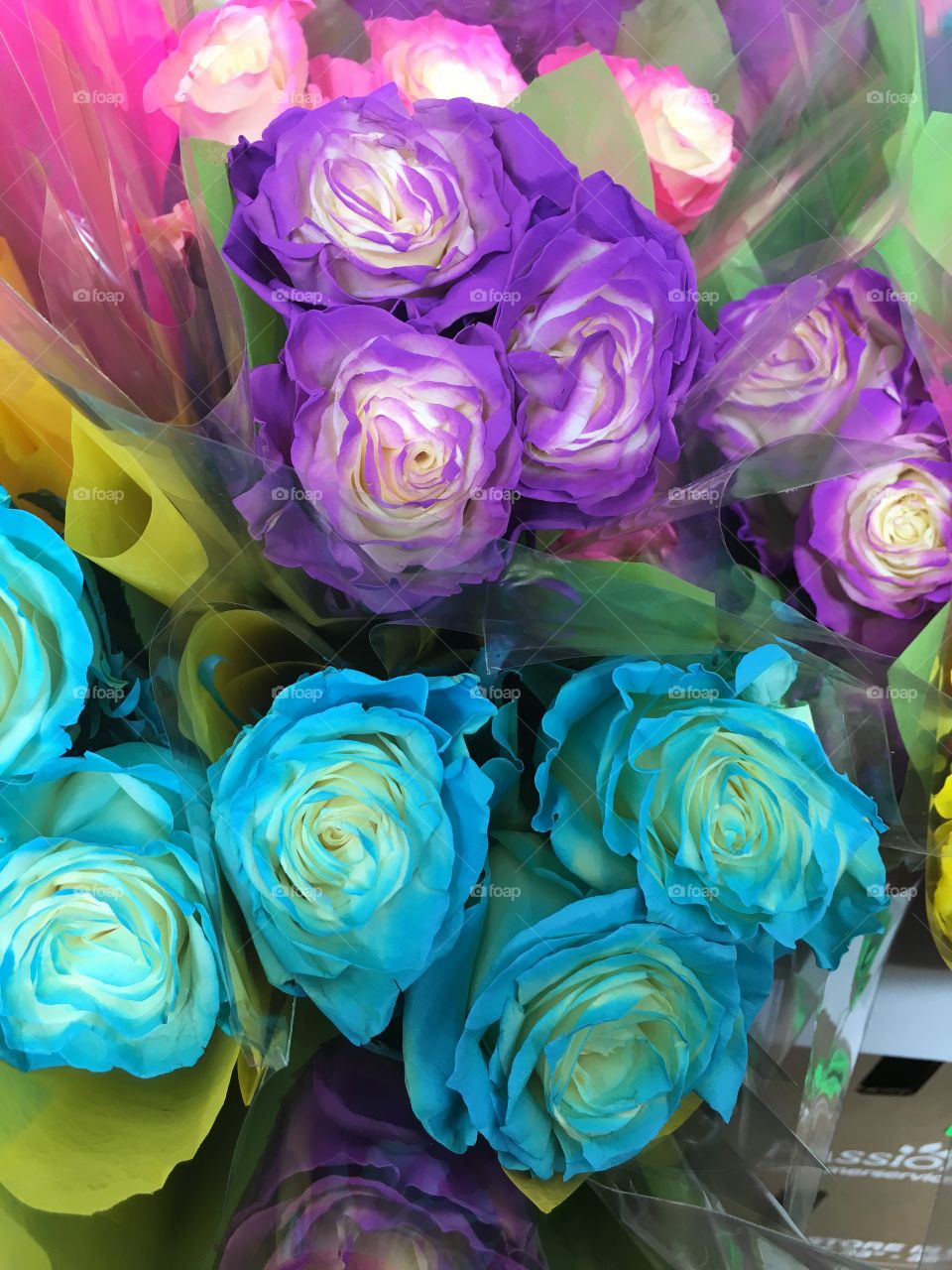 Multicolored roses.