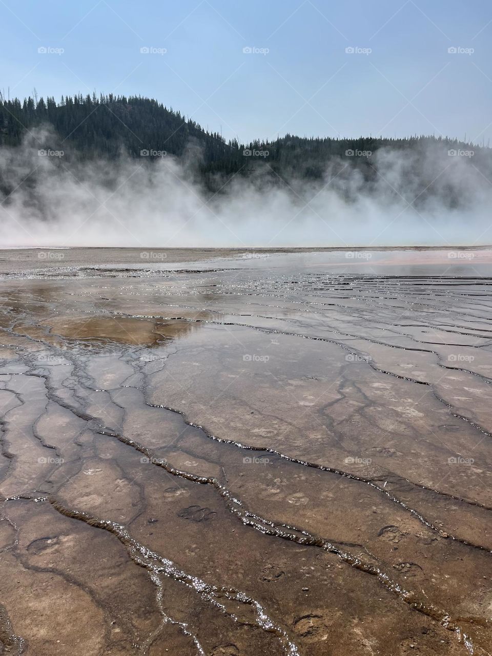 Yellowstone 