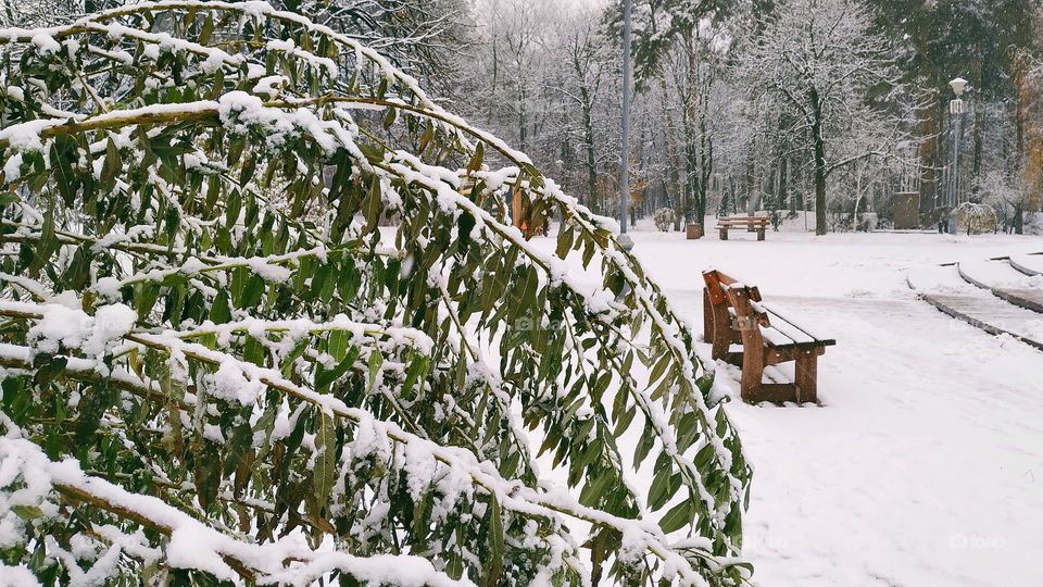 winter in Kiev