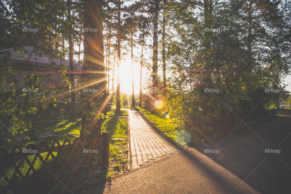 Sun rays in the end of the path