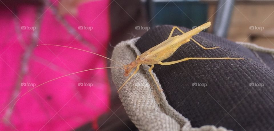 Creatures in September 