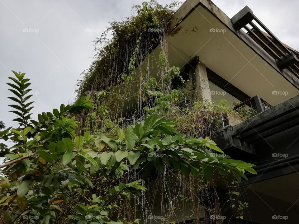 From bottom to Top 🔭 view