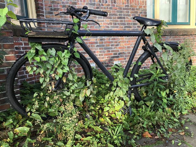 Bicycle, forgotten in big city