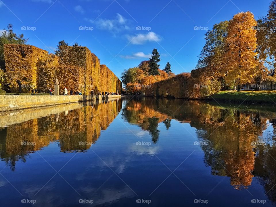 Reflection of autumn trees on lake