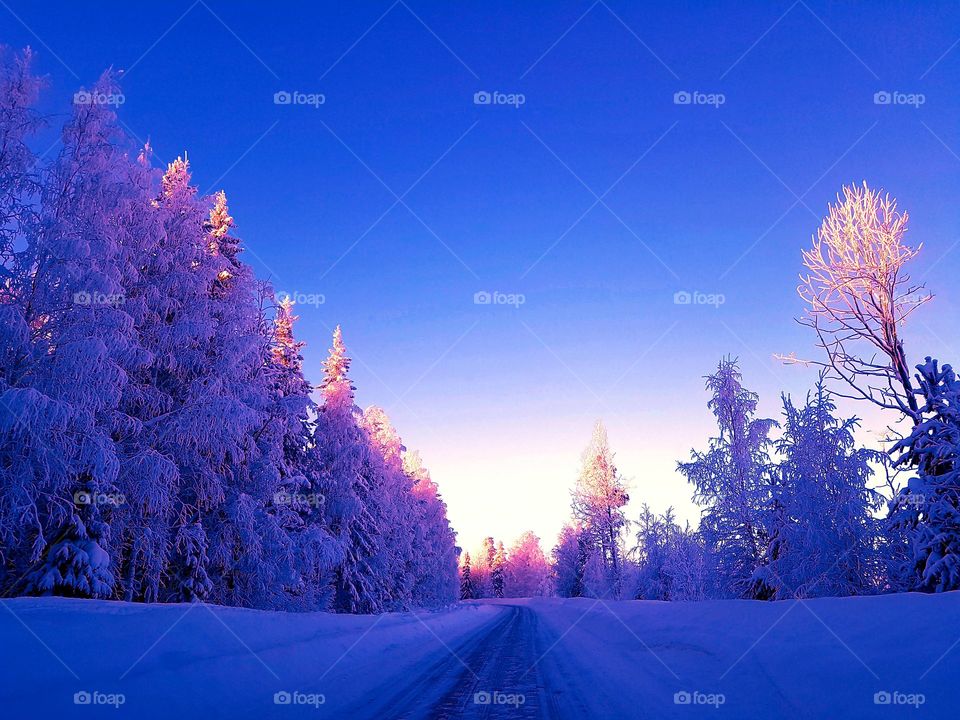 cold icy beautiful day