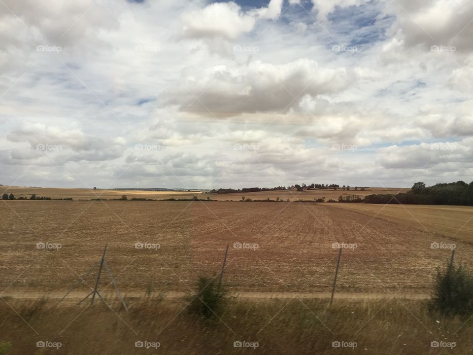 Landscape, No Person, Agriculture, Farm, Cropland
