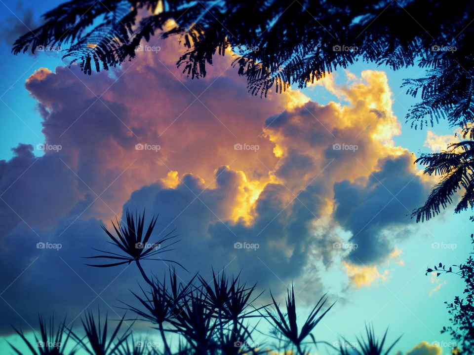 A beautiful Sunset with a combination of colourful clouds and greenery in the foreground