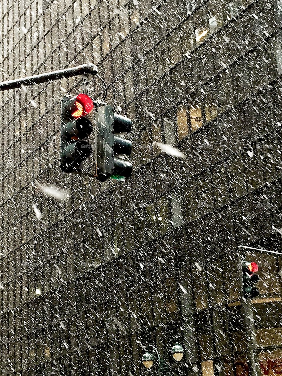 Spring Snow Fall in New York. Spring Snow Fall in New York
