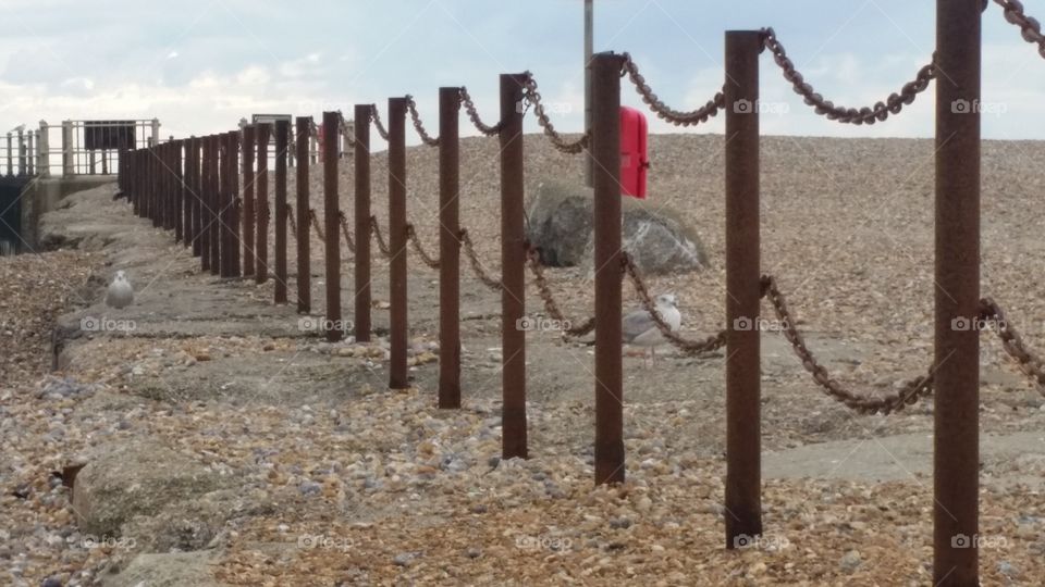 Fence, Security, Barrier, Gate, No Person