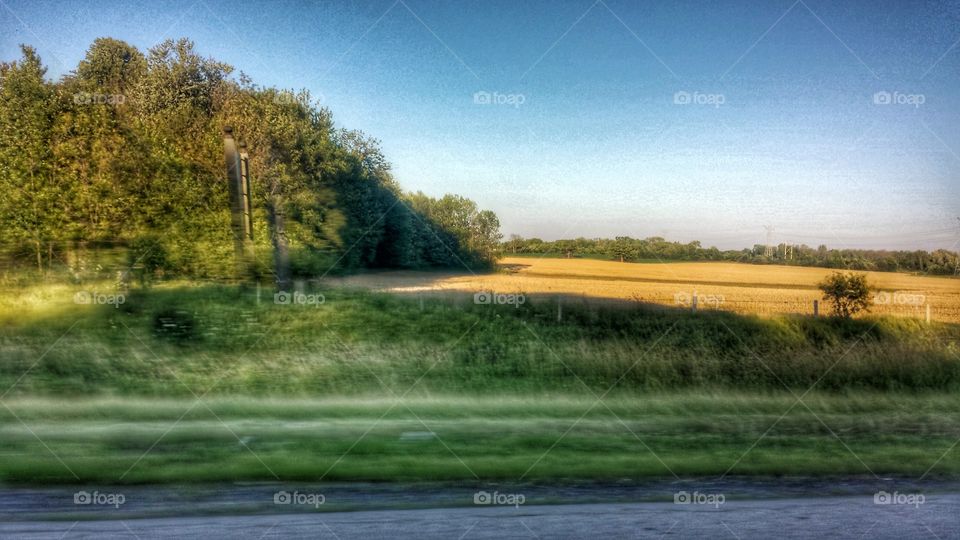 Passing by Golden Field