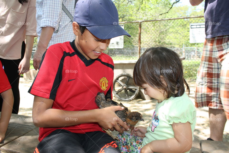 Boy and a toddler girl are petting a chick