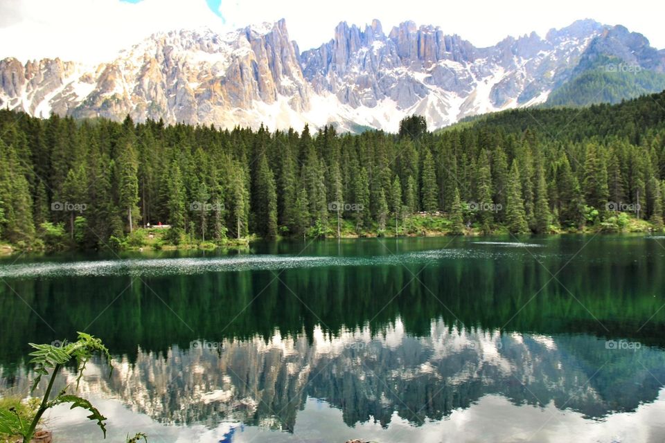 Trees and snowy mountain reflected on lake