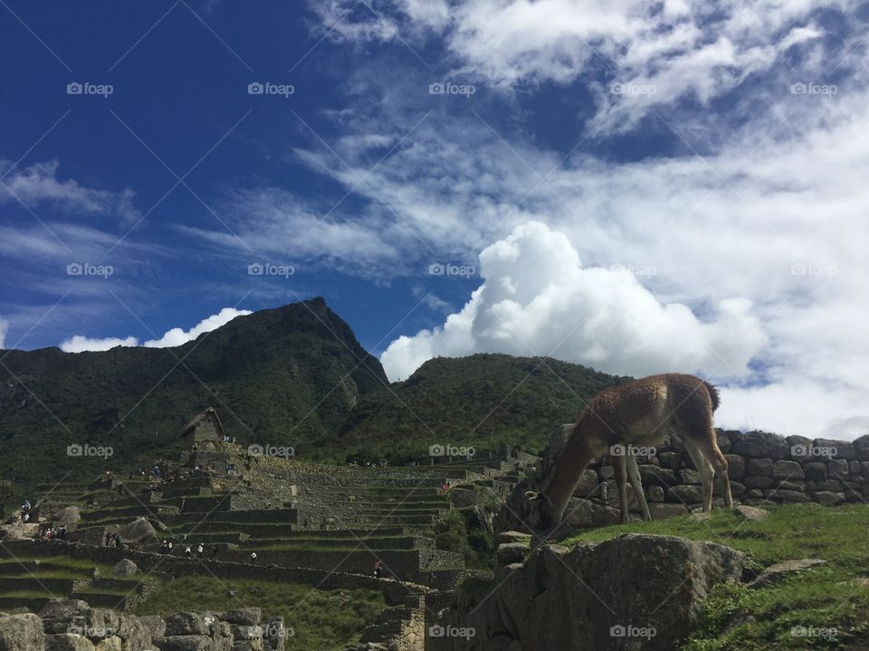Beautiful Peru and the nature