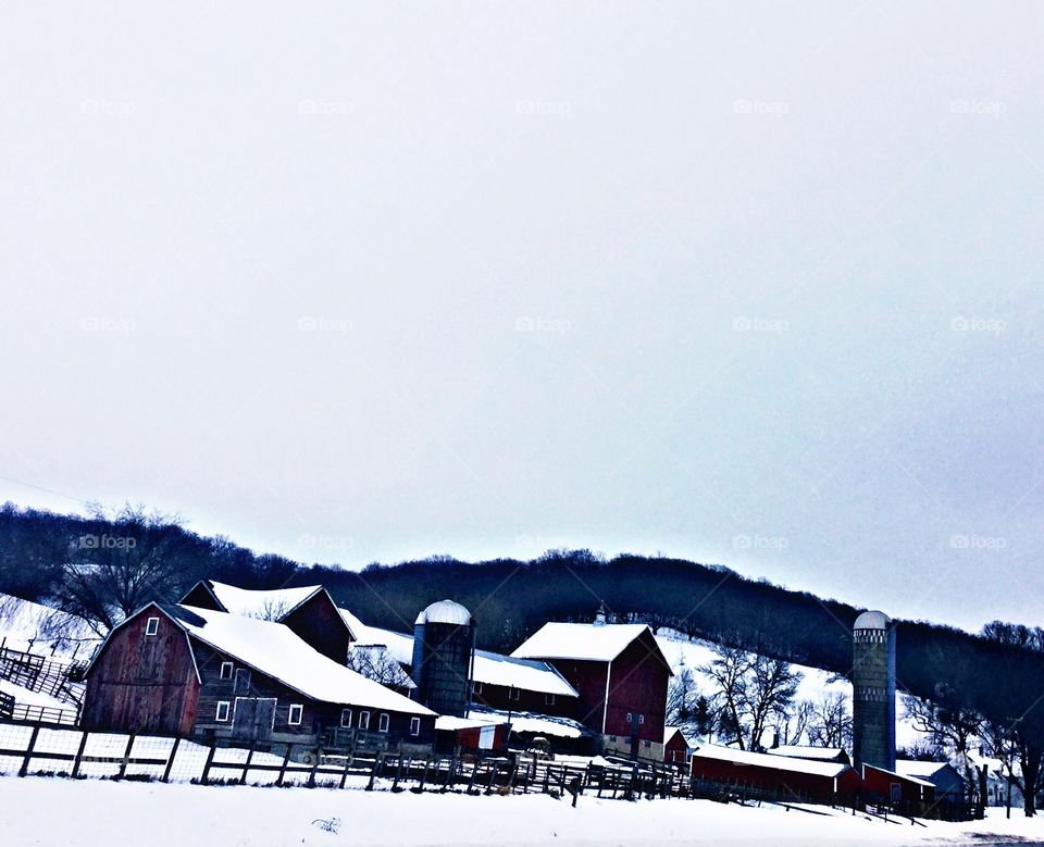 Snowy farm 