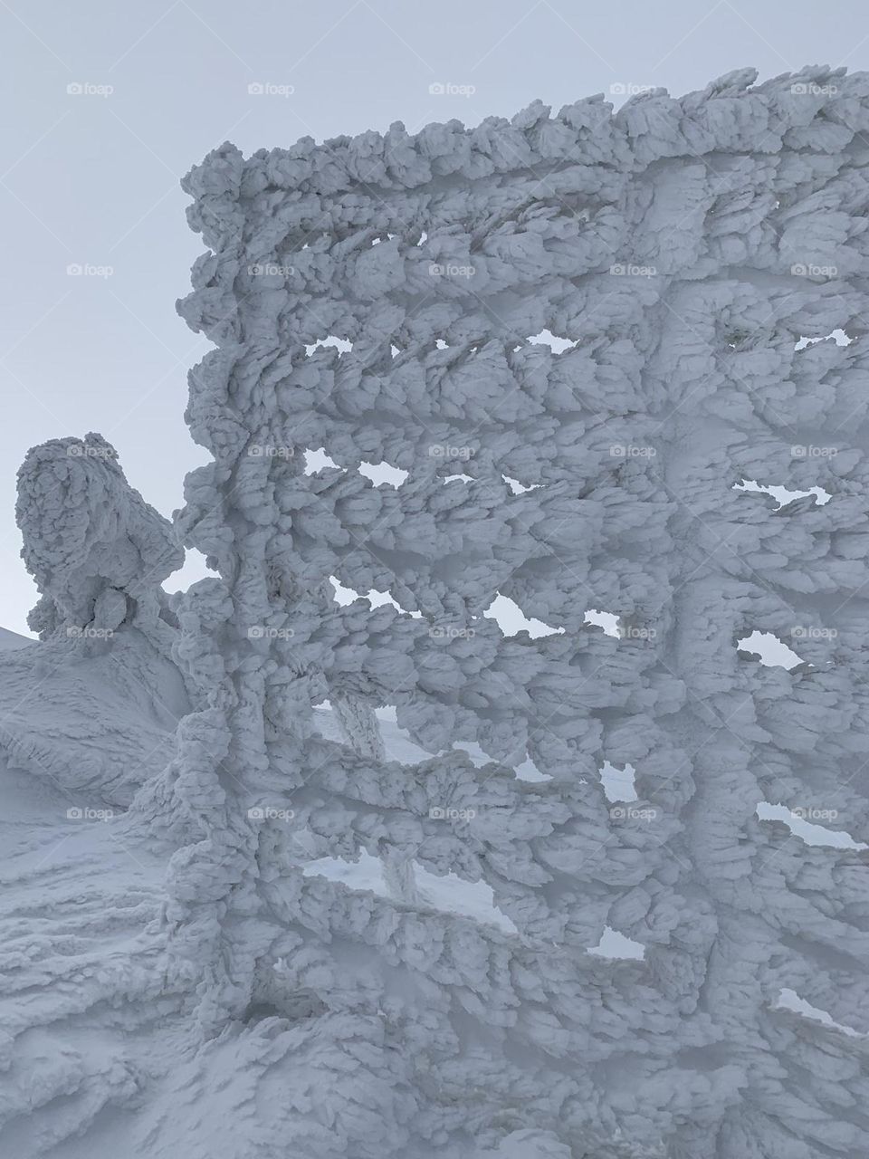 snow in the mountain