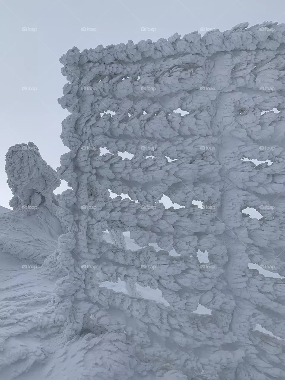 snow in the mountain