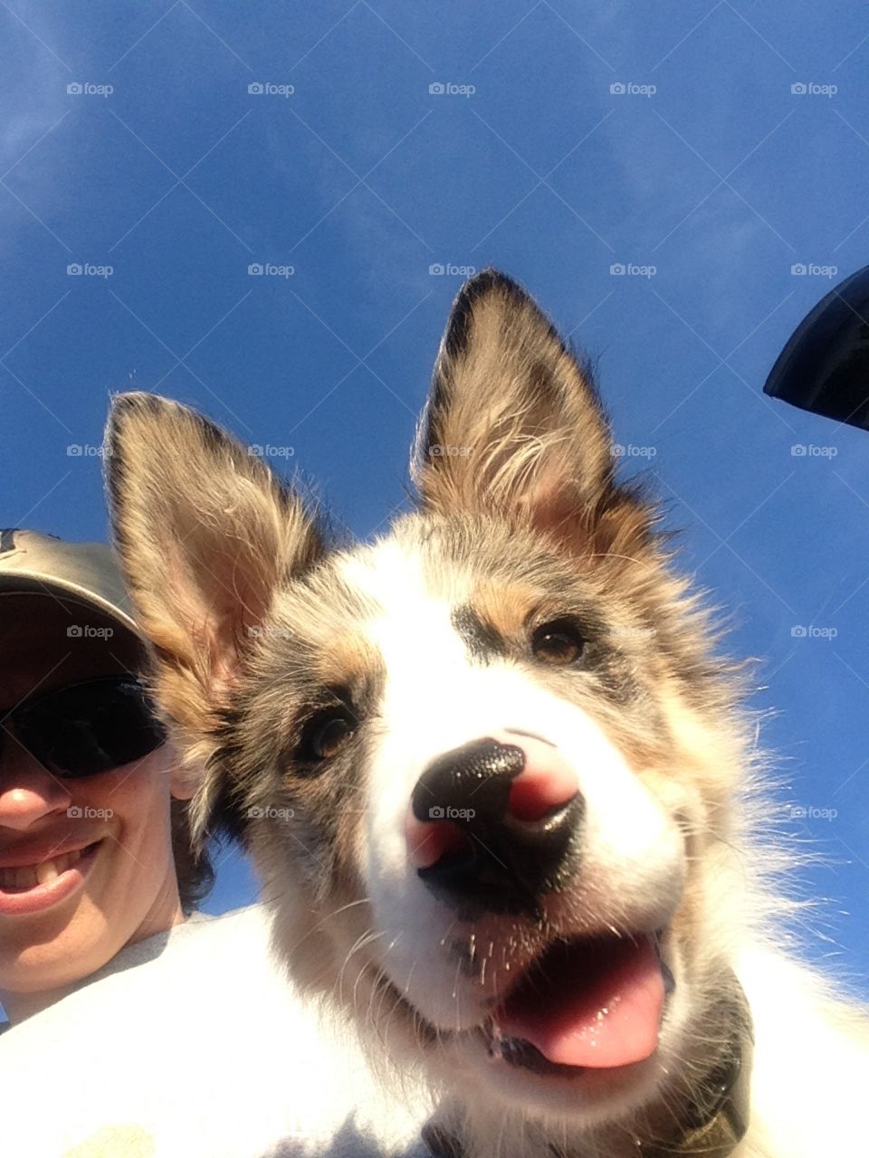 Miggy Selfie. Border Collie hanging with me on a sunny day.