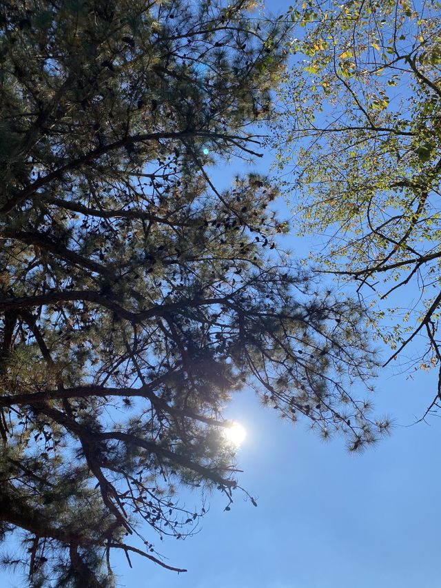 Looking up 