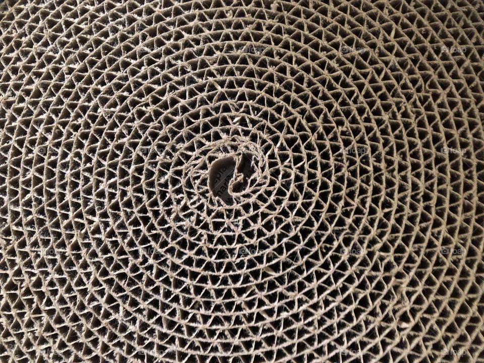 Spiral concentric circles on cat cardboard scratcher