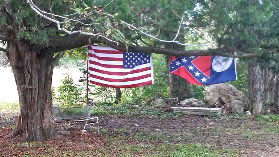 American flag and Georgia flag