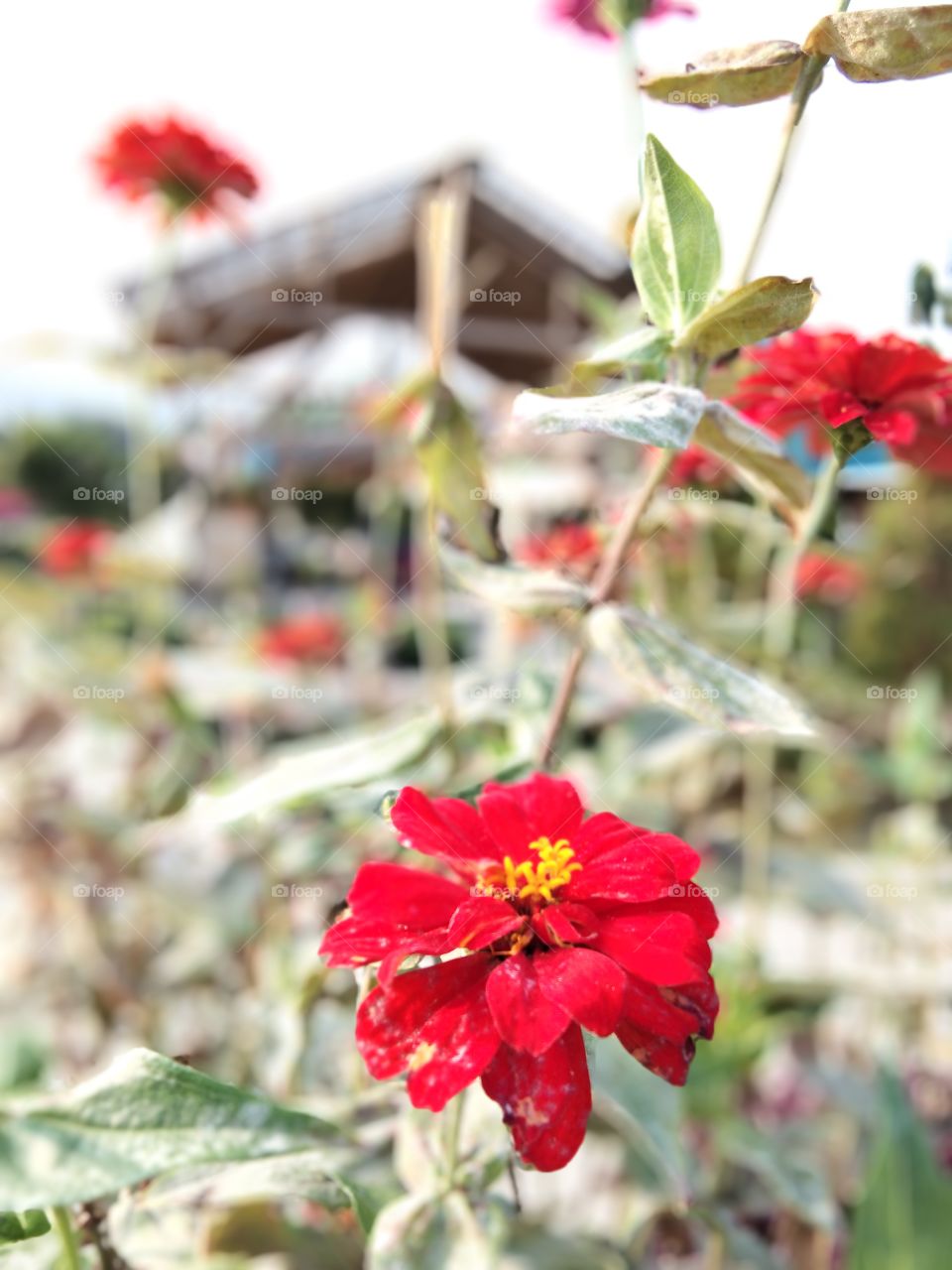 keindahan alam yang masih terjaga 😁