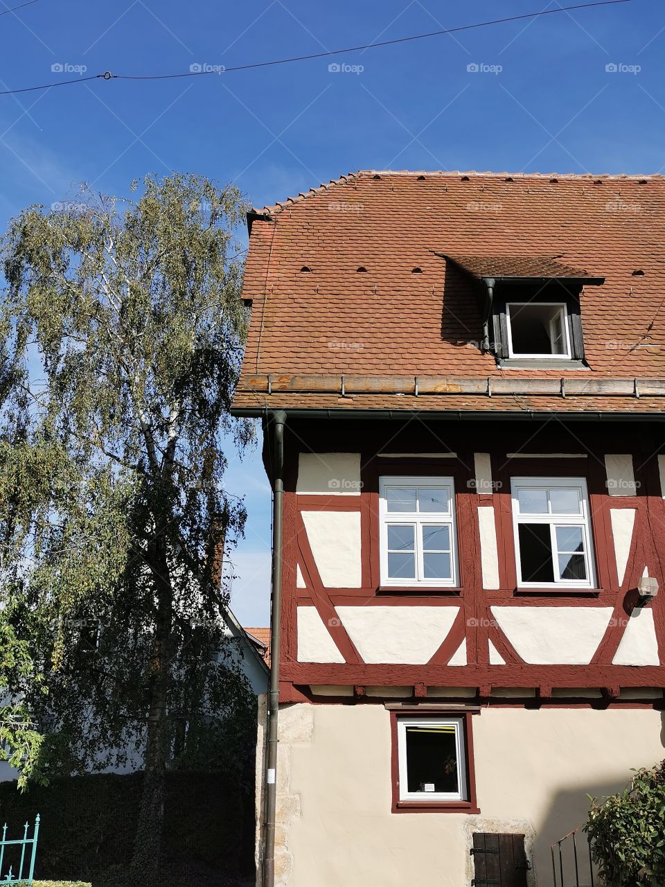 Mittelalterliches Fachwerkhaus und Birke
