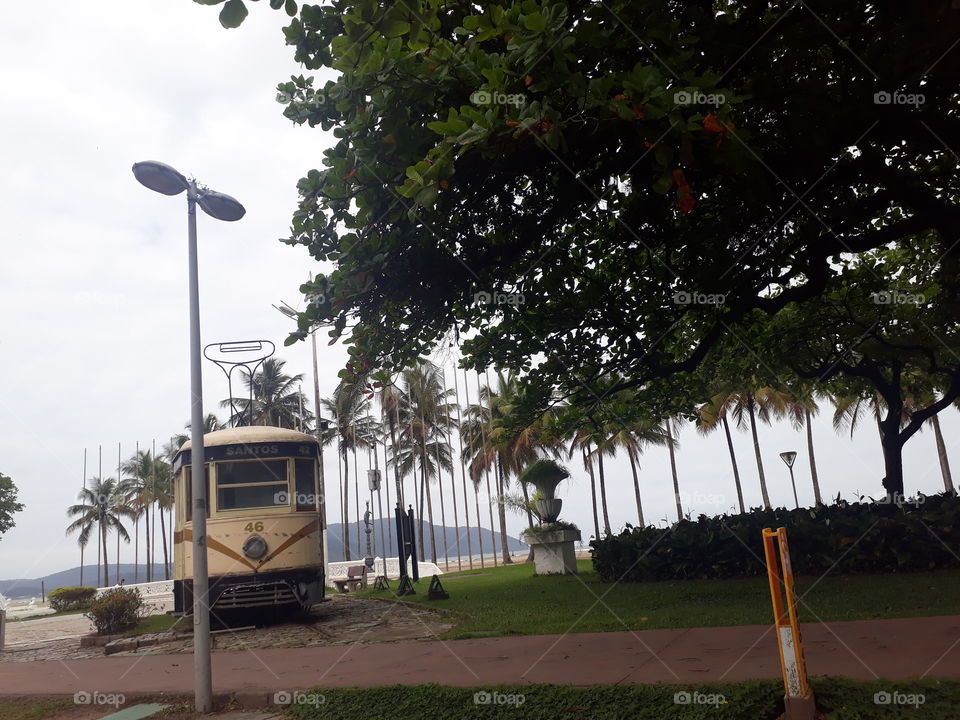 Tram on the beach