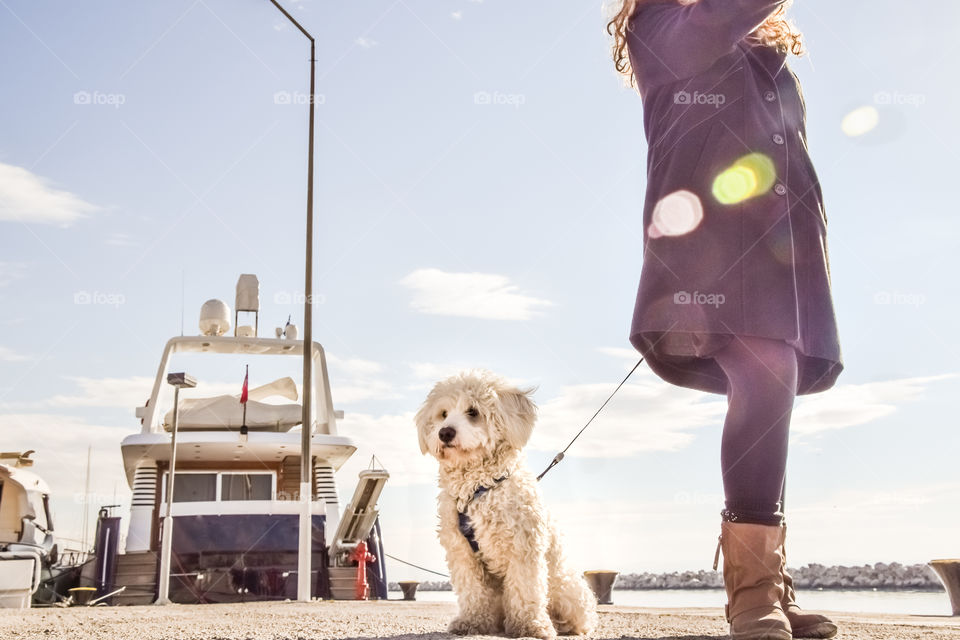 White Shaggy Dog With His Owner At The Dock