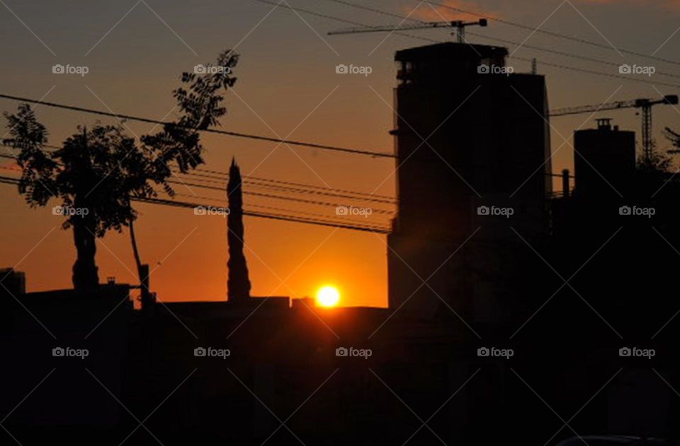 Sol, árvores e prédio