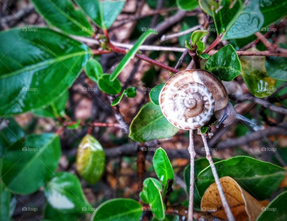 Tiny little creature!