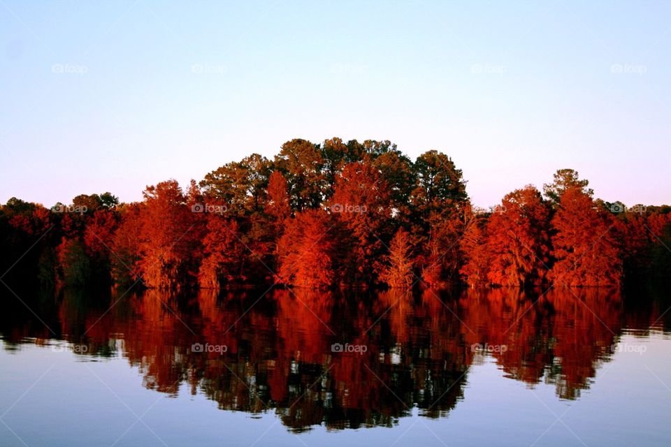Lake Blackshear in the fall