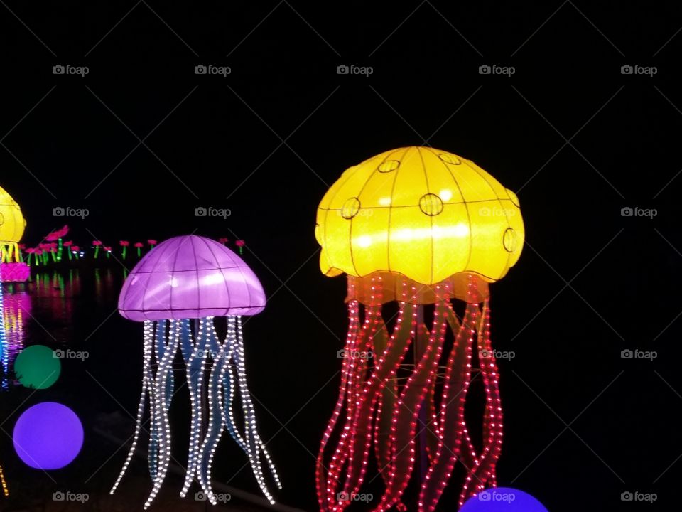 Jellyfish at Chinese Lantern Festival