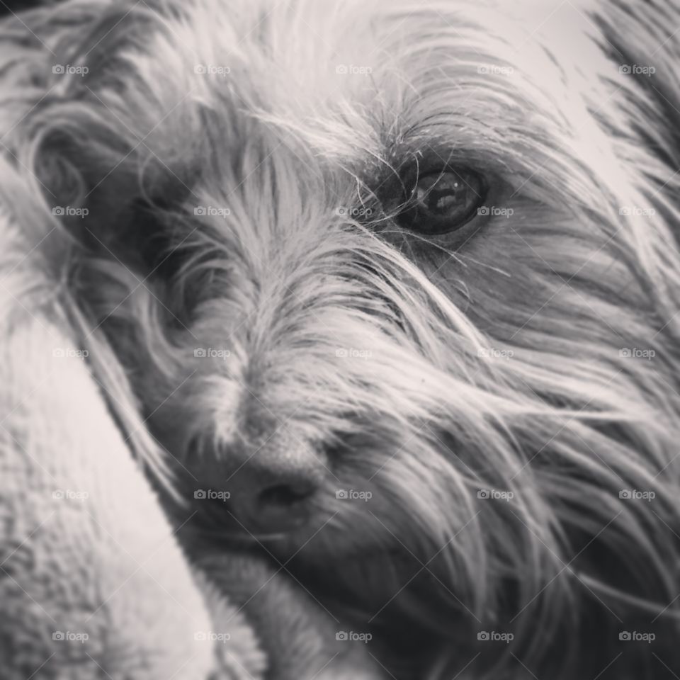 The sweetest of faces.