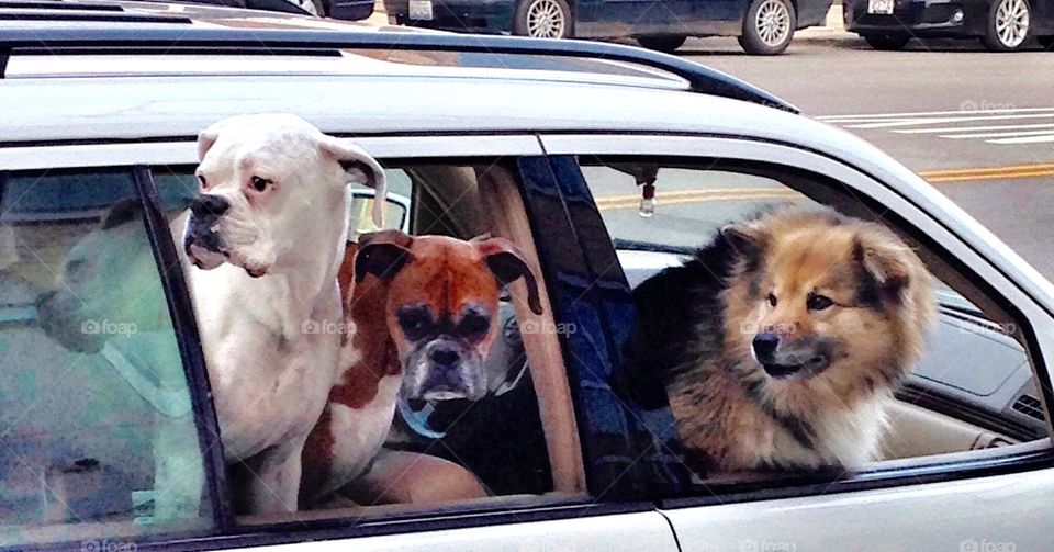 Driving around enjoying the day. 