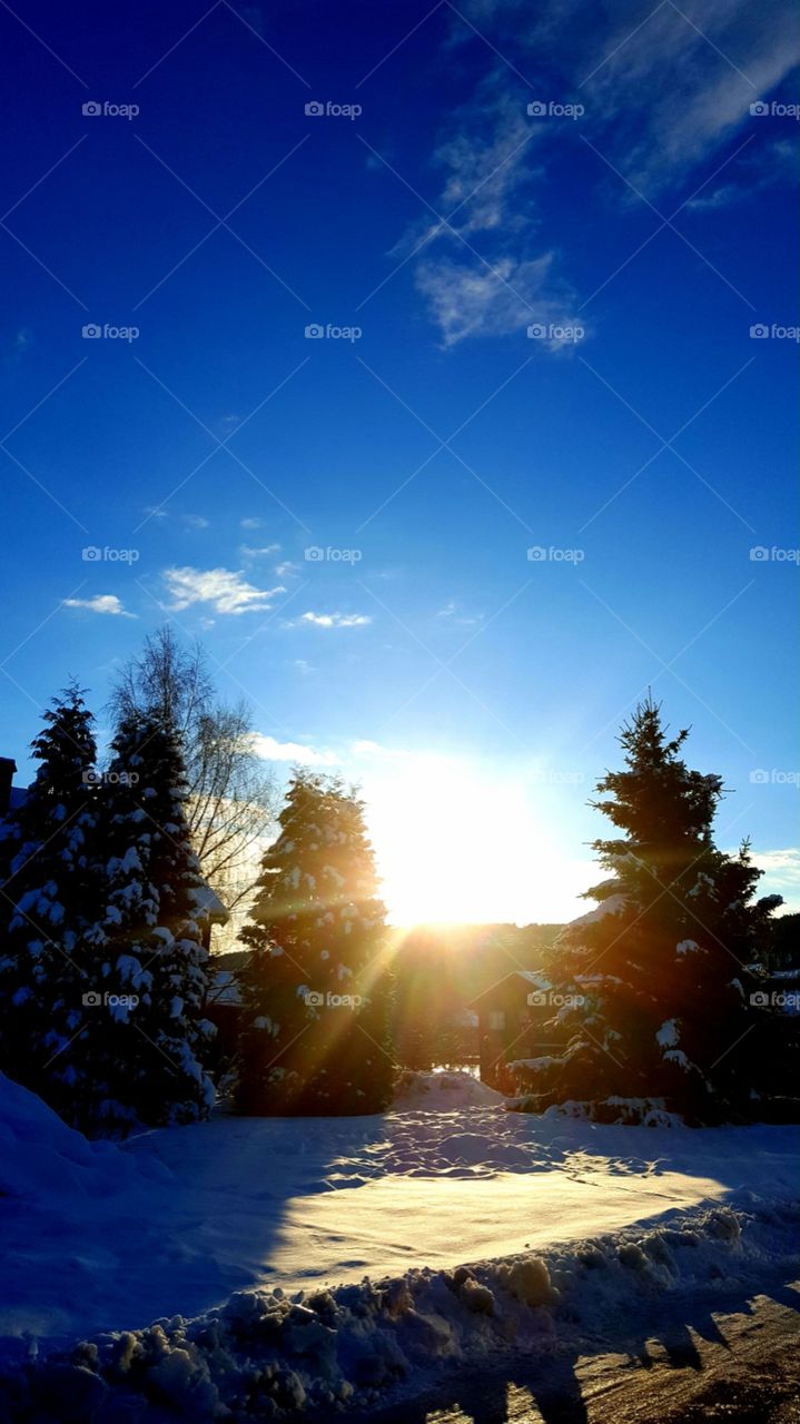 I enjoy the golden break of dawn 
When the misty autumn is bygone ~ ellijoy