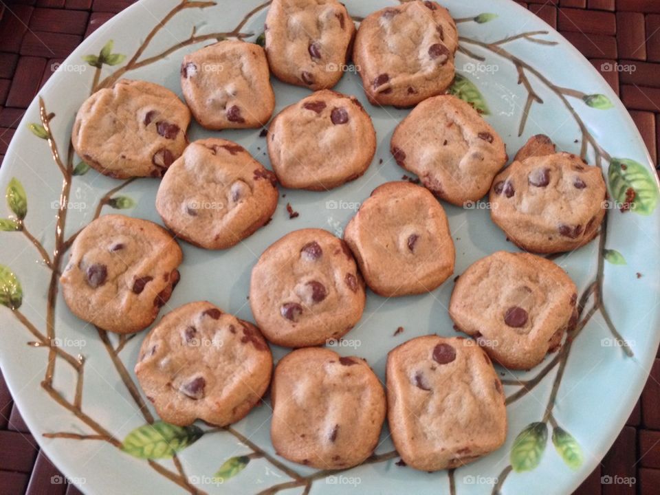 Fresh from the oven chocolate chip cookies