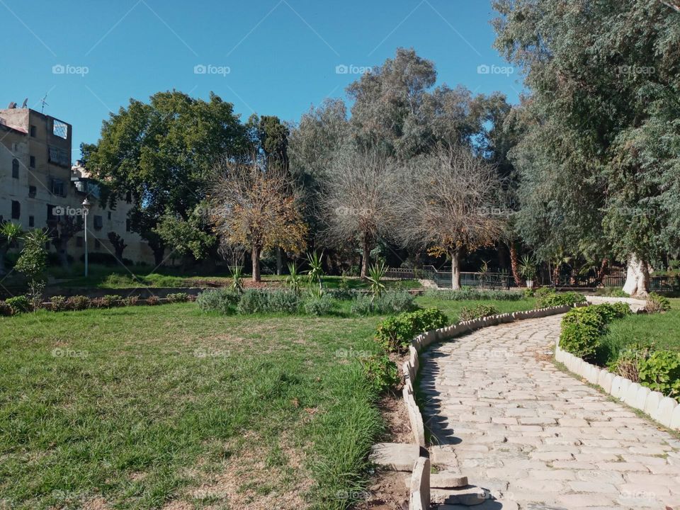 population between the nature