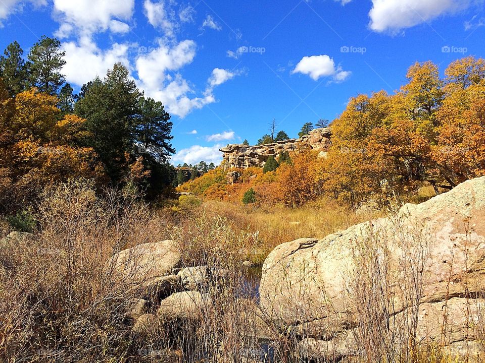 Fall in a canyon