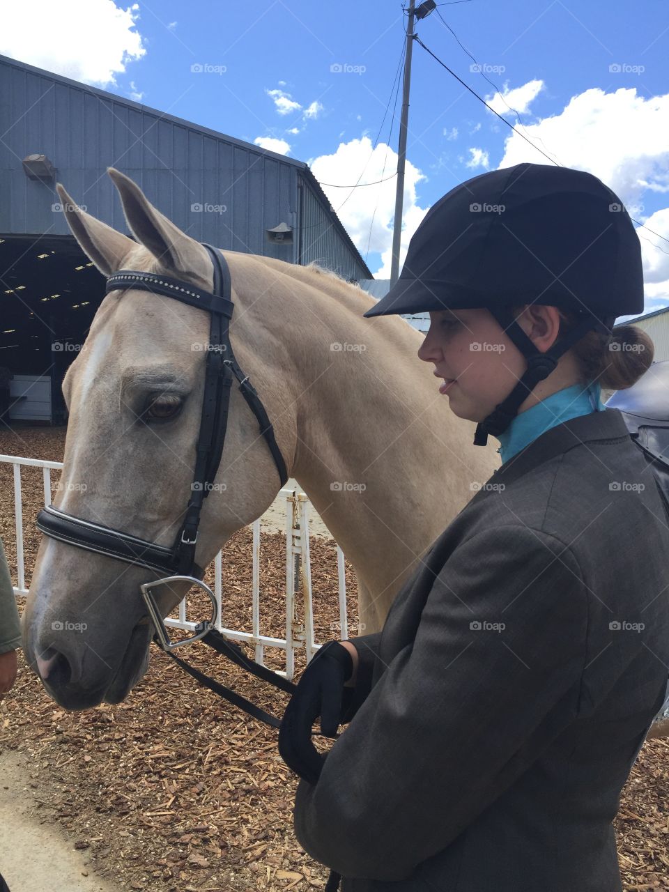 Quiet Equestrian Moment 