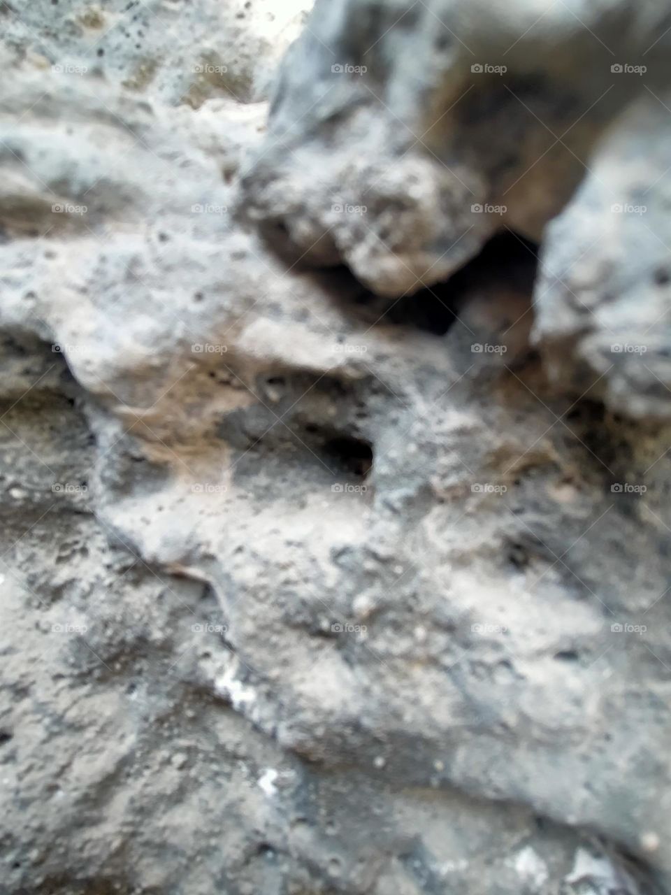 rocks in the wall