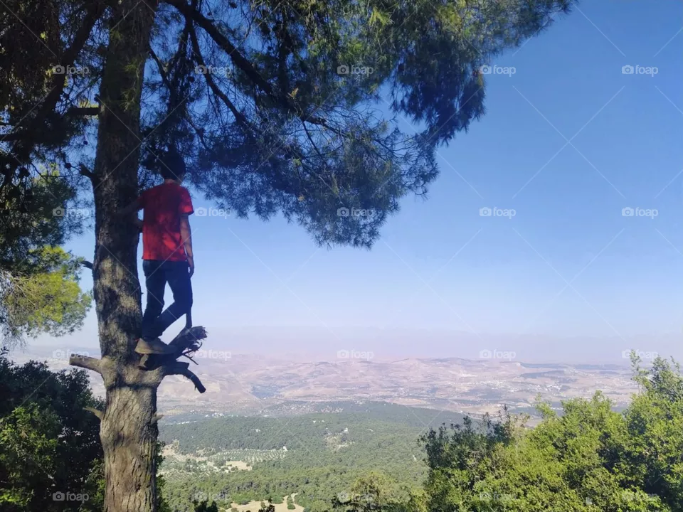 Great view 