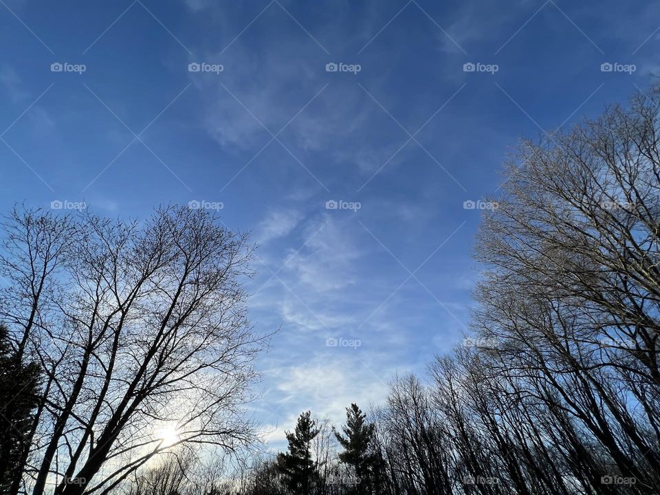 Wispy clouds and sunshine 