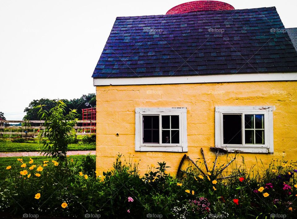 Yellow Shed