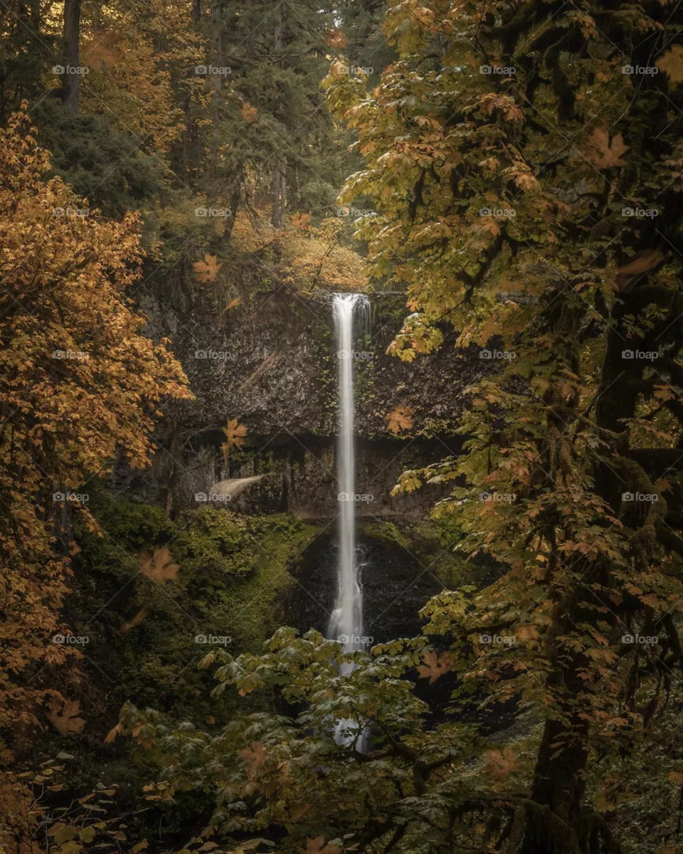 natural water's pictures