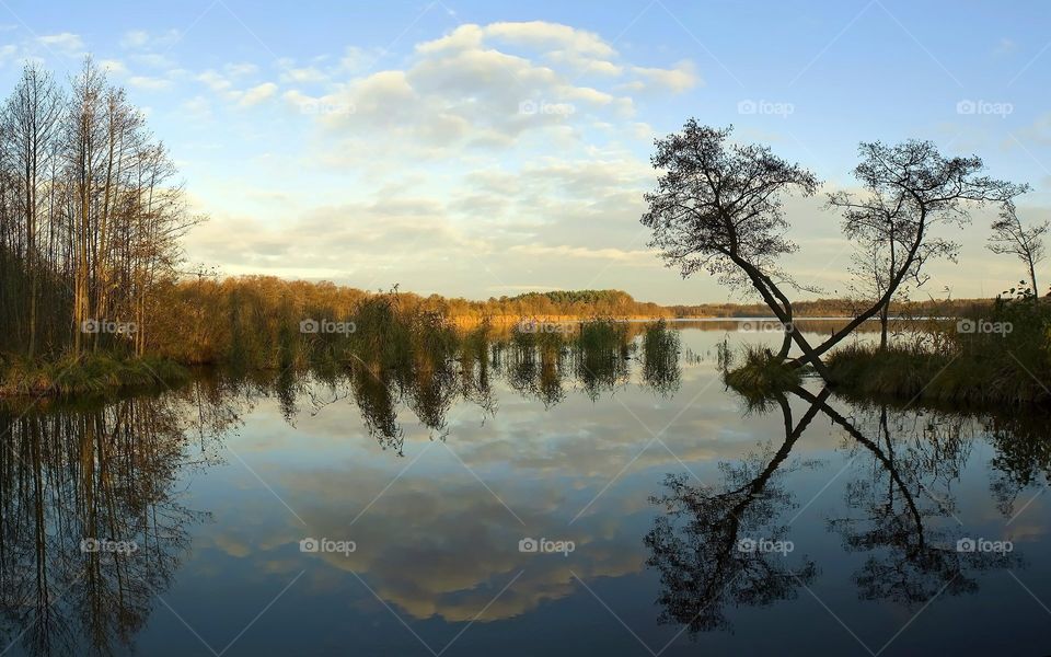 No Person, Reflection, Tree, Lake, Water