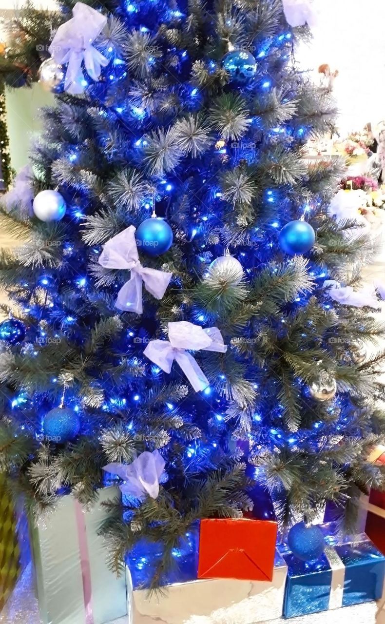 Winter Christmas tree