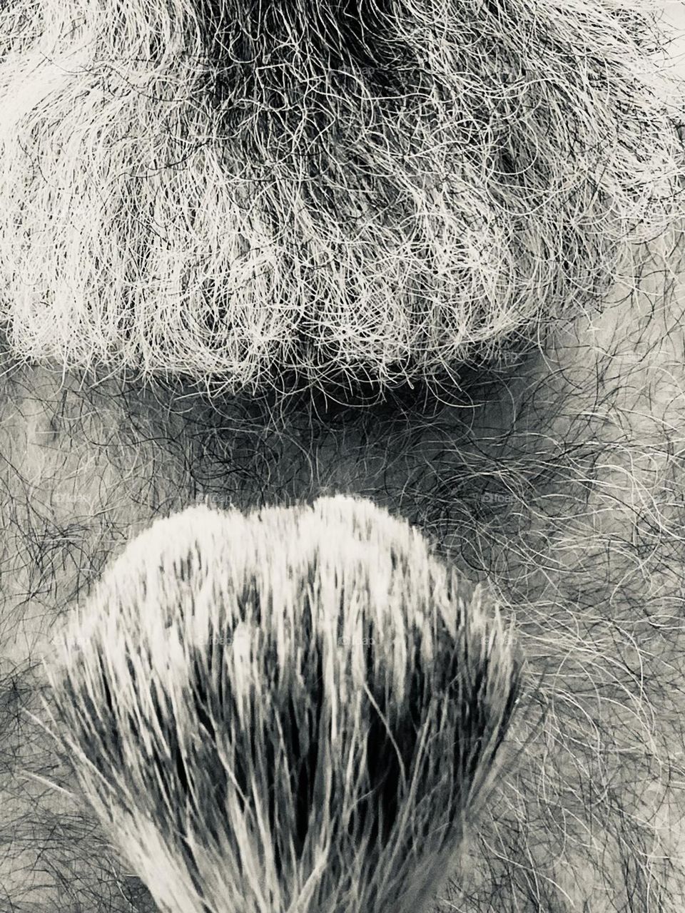 Brush