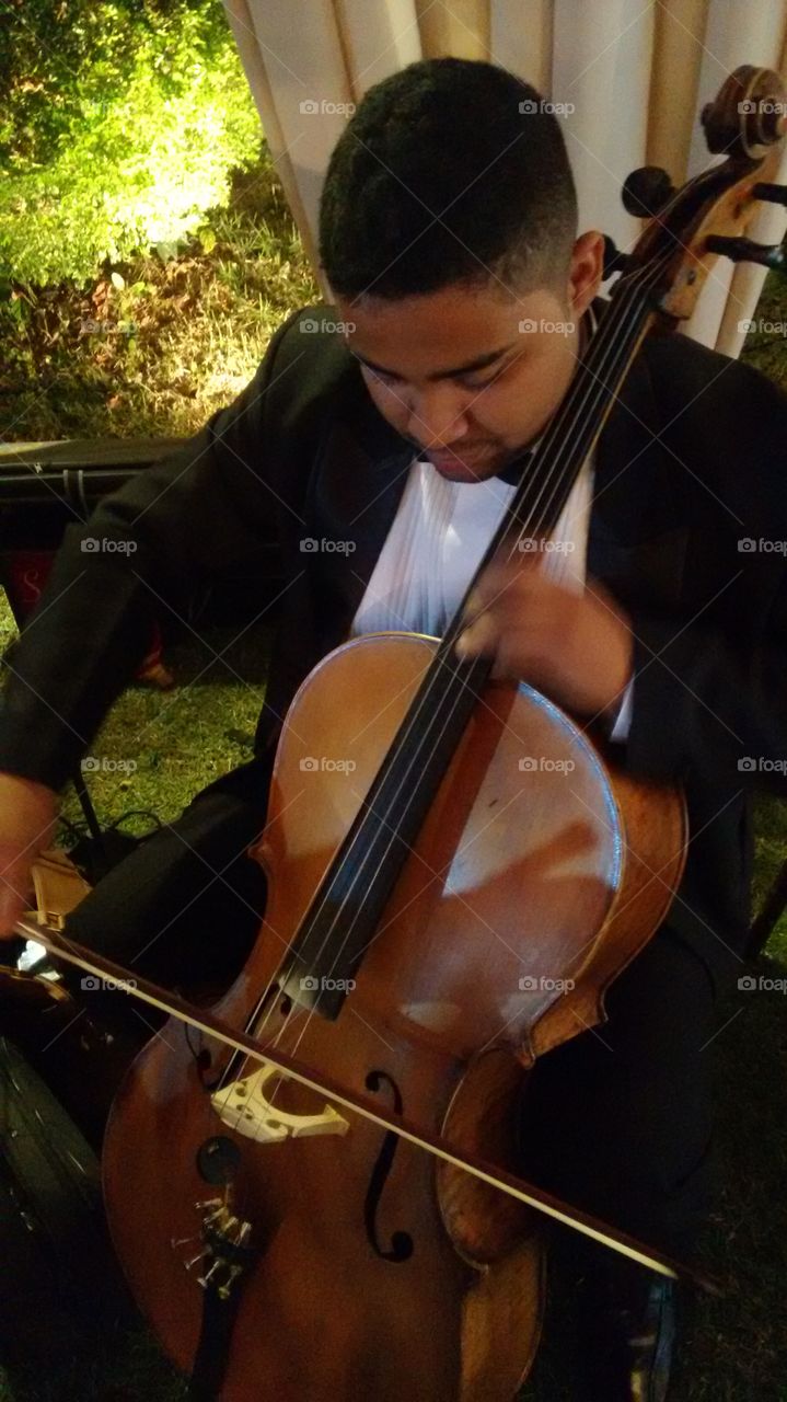 Violin, Violinist, Music, Musician, Cello