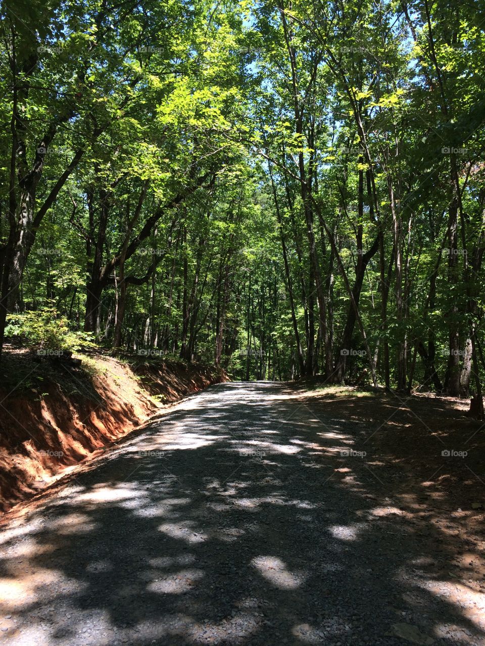 Hiking in the woods. Hiking in Crowder's Mountain, NC on a beautiful Sunday. 