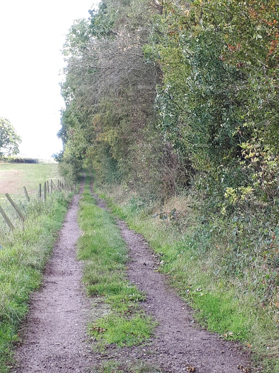 Rural Tracks